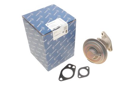 EGR клапан VAG, PIERBURG (700309070) EGR клапан VAG, PIERBURG (700309070)