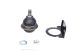 Кульова опора HYUNDAI i30, KIA PRO, KIA CEE'D, FEBI BILSTEIN (109572) Кульова опора HYUNDAI i30, KIA PRO, KIA CEE'D, FEBI BILSTEIN (109572)