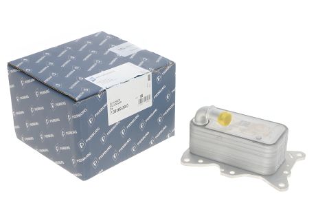 Масляний радіатор Mercedes Benz OM651, PIERBURG (709269200) Масляний радіатор Mercedes Benz OM651, PIERBURG (709269200)