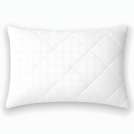 Подушка гипоаллергенная Antistatic Sleep IDEIA 50х70 см, искусственный пух, антистатическая ткань, с молнией (8-36060) Подушка гипоаллергенная Antistatic Sleep IDEIA 50х70 см, искусственный пух, антистатическая ткань, с молнией (8-36060)