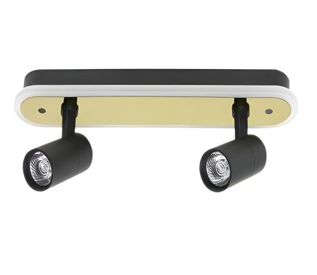 Люстра в стилі лофт Sirius PRD-C 0371-2 42W з поворотним механізмом на 2 лампочки