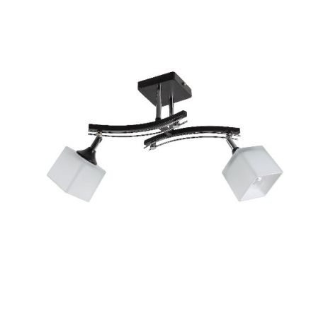 Люстра стельова Sirius B N1435/2 на 2 плафони Люстра стельова Sirius B N1435/2 на 2 плафони