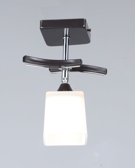 Потолочный светильник B N1435/1 (черный) Потолочный светильник B N1435/1 (черный)