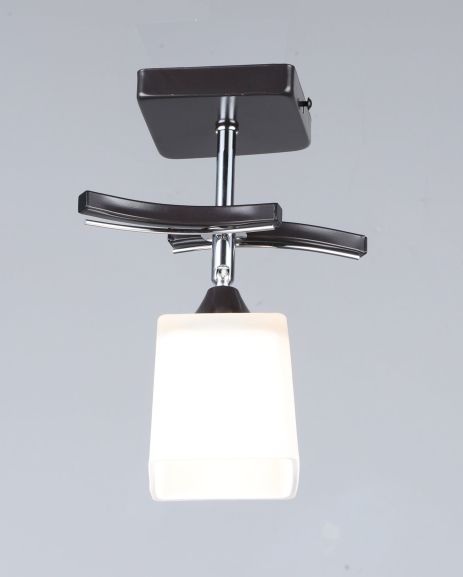 Стельовий світильник B N1435/1 (чорний)