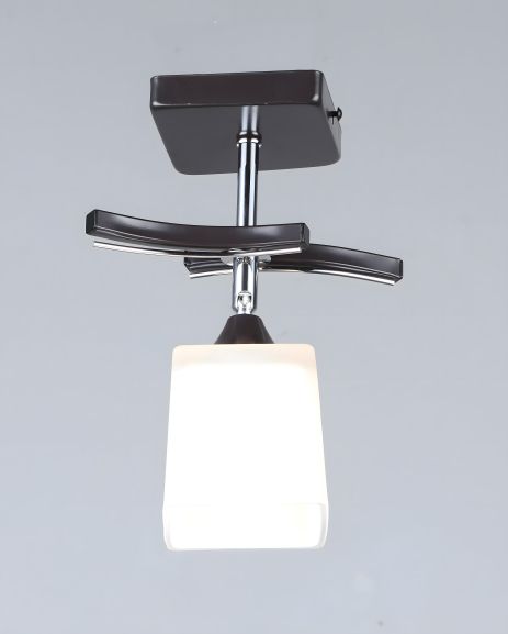 Чорний стельовий світильник B N1435/1