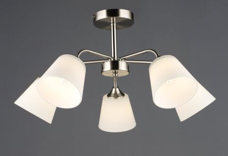 Потолочный светильник B N6599/5 SN