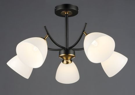 Стельовий світильник N6602/5, 5 ламп