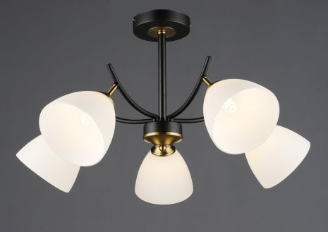 Потолочный светильник N6602/5