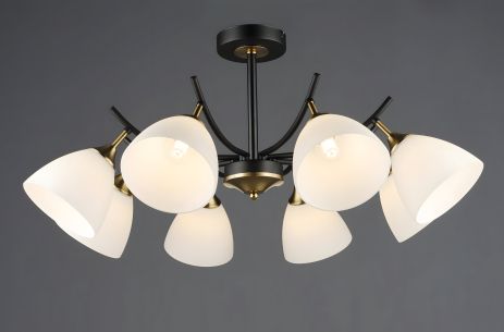 Потолочный светильник модель N6602/8