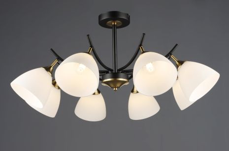 Потолочный светильник N6602/8