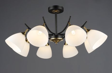 Стельовий світильник N6602/8