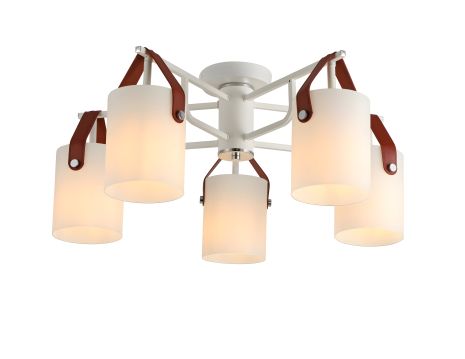 Стельова люстра G 321035/5 CR+Matt white