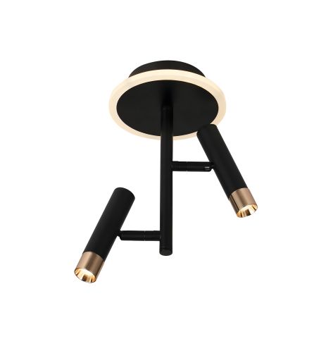 Стельовий світильник світлодіодний G 2917/2 16W (Чорний+Золото)