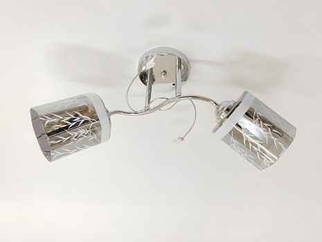 Потолочная люстра на 2 плафона 6248E/2 Хром