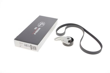 Модуль натягувача ременя (ролик, ремінь) RENAULT, NISSAN KUBISTAR BOX, GATES (K025PK1133)