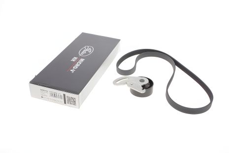 Модуль натягувача ременя (ролик, ремінь) RENAULT, NISSAN KUBISTAR BOX, GATES (K025PK1133)