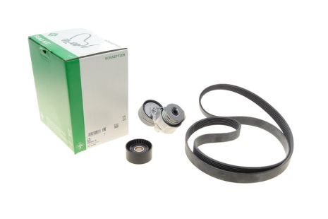 Роликовый модуль натяжителя ремня (ролик, ремень) RENAULT, NISSAN, INA (529041210)