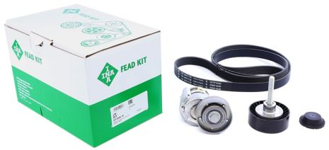 Роликовый модуль натяжителя ремня (ролик, ремень) 529050510 SKODA, SEAT, INA (529050510)