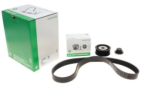 Роликовий модуль натягувача ременя (ролик, ремінь) для Lada, Dacia, INA (529048610) Роликовий модуль натягувача ременя (ролик, ремінь) для Lada, Dacia, INA (529048610)