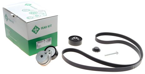 Роликовый модуль натяжителя ремня (ролик, ремень) FIAT ALFA, INA 529049810