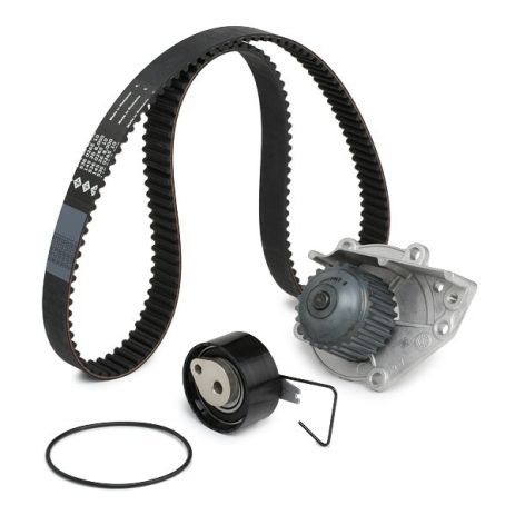 Помпа + комплект ГРМ MG MG, LAND ROVER, INA (530037630)