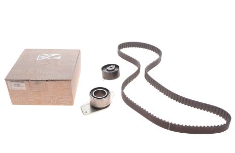 Роликовий модуль натягувача ременя (ролик, ремінь) для RENAULT MEGANE від RENAULT (7701477049)