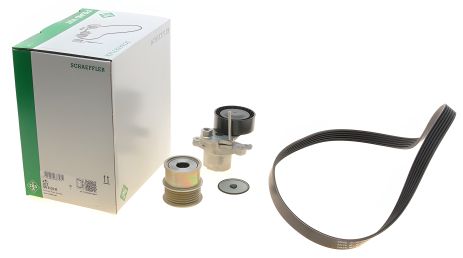 Натяжительный роликовый модуль для SKODA, SEAT, INA (529015920)