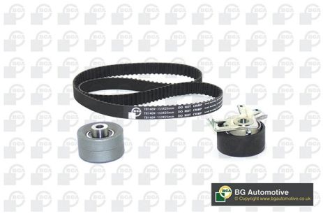 Роликовый модуль натяжителя ремня (ролик, ремень) PEUGEOT 307 BREAK, BGA (TB1421K)