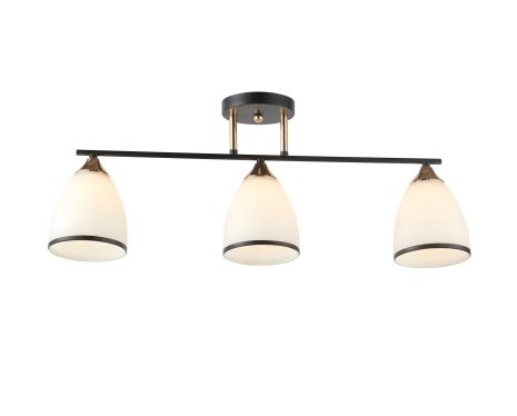 Декоративна люстра IS 6321-3 BK+FG, сучасний стиль Декоративна люстра IS 6321-3 BK+FG, сучасний стиль