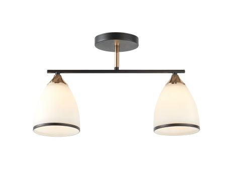 Декоративна люстра IS 6321-2 BK+FG