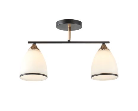 Декоративна люстра IS 6321-2 BK+FG