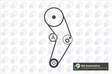 Роликовый модуль натяжителя ремня (ролик, ремень) SKODA, SEAT, BGA (TB0110K)