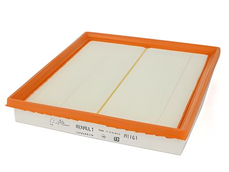 Повітряний фільтр Trafic 2.0/2.5 dCi, RENAULT (165464407R)