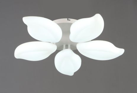 Люстра потолочная светодиодная VALESO 5 плафонов LED 60W Белый Сталь Акрил 3000K+6500K YH1408/5