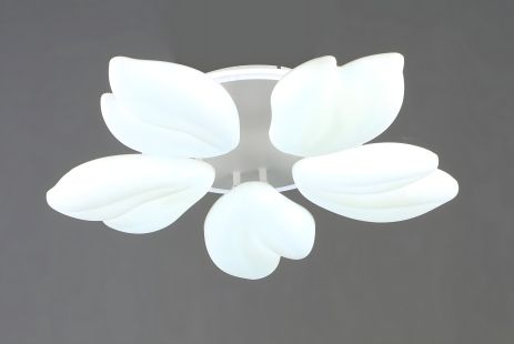 Потолочная LED люстра VALESO с 5 плафонами, 76W, Белая, Стальная, Акриловая, 3000K+6500K YH1413/5