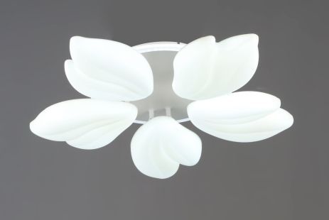 Люстра стельова світлодіодна VALESO 5 плафонів LED 76W Білий Сталь Акрил 3000K+6500K YH1413/5