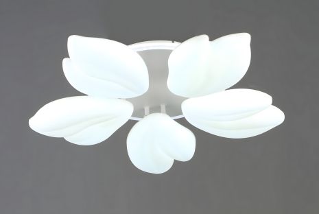 Потолочная LED люстра VALESO с 5 плафонами, 76W, Белая, Стальная, Акриловая, 3000K+6500K YH1413/5