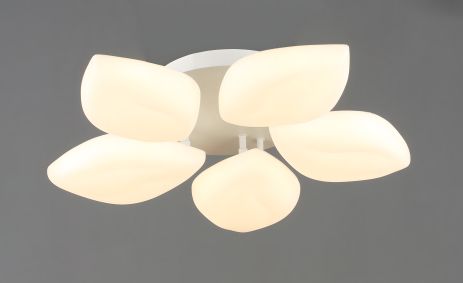 Потолочная светодиодная люстра VALESO на 5 плафонов, LED 60W, цвет: Белый Сталь Акрил, 3000K+6500K (YH1411/5)