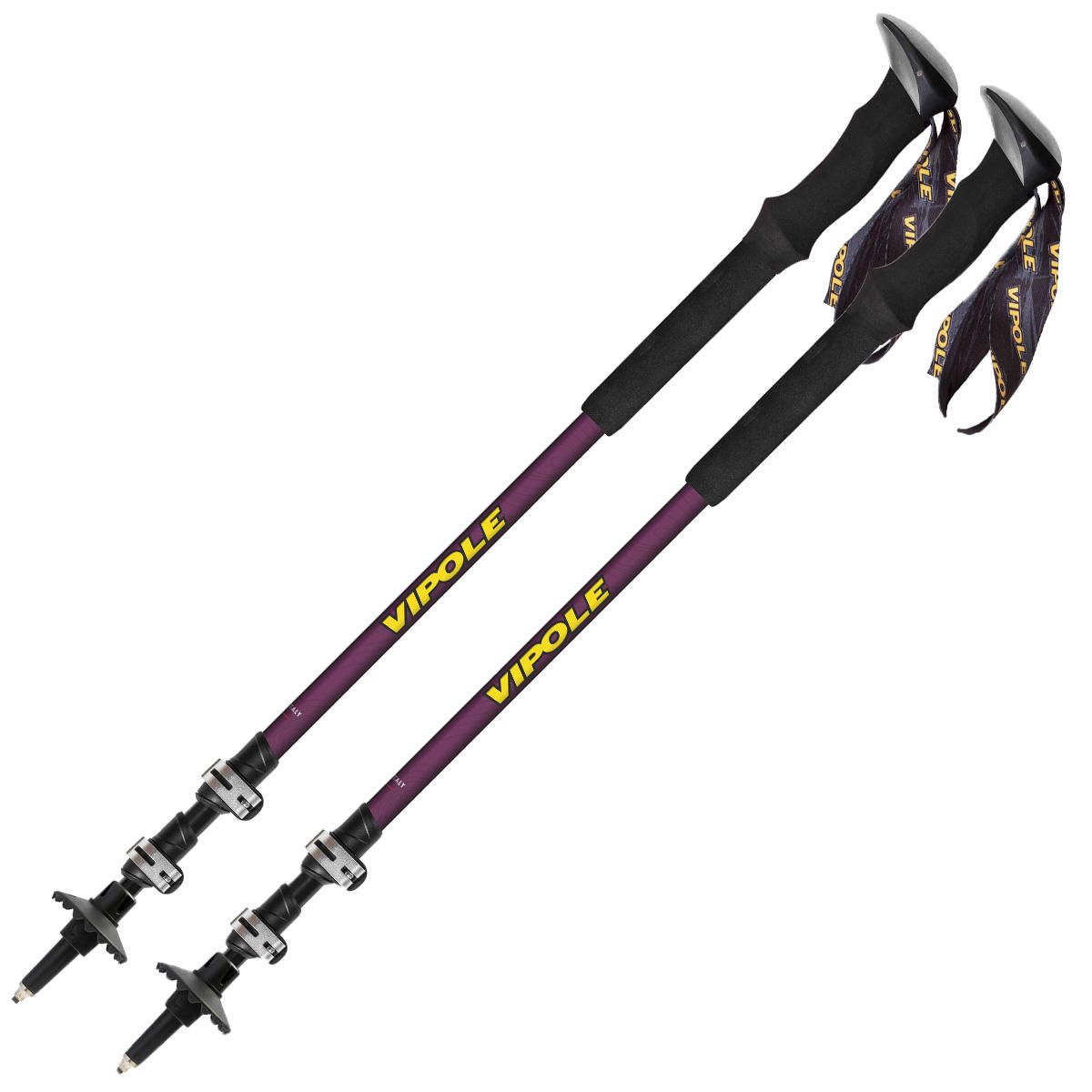 Палки трекинговые Vipole Base Camp Violet DLX (S25 08) Палки трекинговые Vipole Base Camp Violet DLX (S25 08)