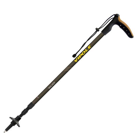 Π’ΡΠ΅ΠΊΠΈΠ½Π³ΠΎΠ²Π°Ρ ΠΏΠ°Π»ΠΊΠ° Vipole Walker (S25 22) Π’ΡΠ΅ΠΊΠΈΠ½Π³ΠΎΠ²Π°Ρ ΠΏΠ°Π»ΠΊΠ° Vipole Walker (S25 22)