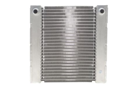 Радиатор охлаждения BMW 5-Series10-, BMW 17112284603, NRF (550191)