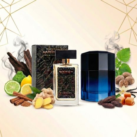 Парфюмированная вода для мужчин Martin Lion Н53 Darkness, 50 мл