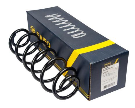 Задняя пружина Citroen C4/C4 I/C4 II/Peugeot 307 00-(348*10,7*113), RAISO (SR156TP)