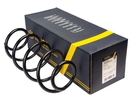 Пружина передняя Ford Fiesta 02-08, RAISO (SF173TP)