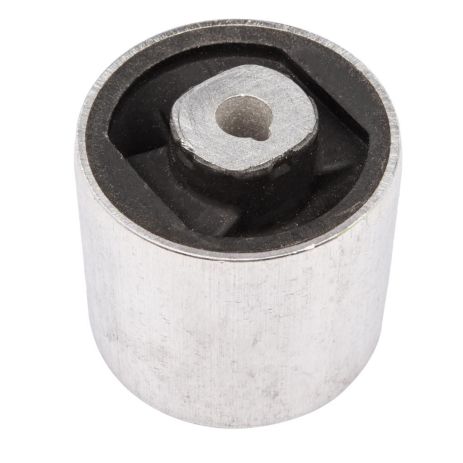 Сайлентблок переднього важеля (нижн.задн.внутрішній) Audi A4 B8/A5/Q5/Porsche Macan 07-, RAISO (RL8K0183D)