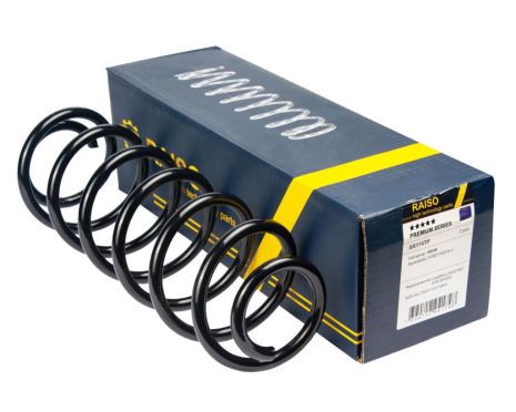Задняя пружина для FORD FIESTA V/FIESTA V Van 01-D10/108 L336 L/R, RAISO (SR174TP)