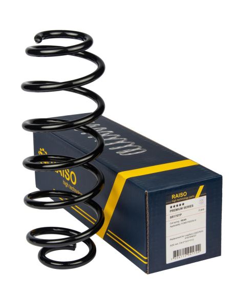 Задняя пружина Ford Fiesta 08-, RAISO (SR170TP)