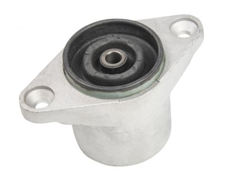 Опора амортизатора заднего A6/Passat 97-05, RAISO (RC02196)