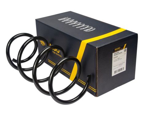 Передняя пружина для BMW 5 (E60/61) 02-10 (330*13,3*162), RAISO (SF128TP)