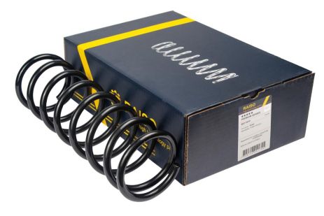 Задняя пружина Ford Focus I 98-05 (346*11*109), RAISO (SR175TP) Задняя пружина Ford Focus I 98-05 (346*11*109), RAISO (SR175TP)